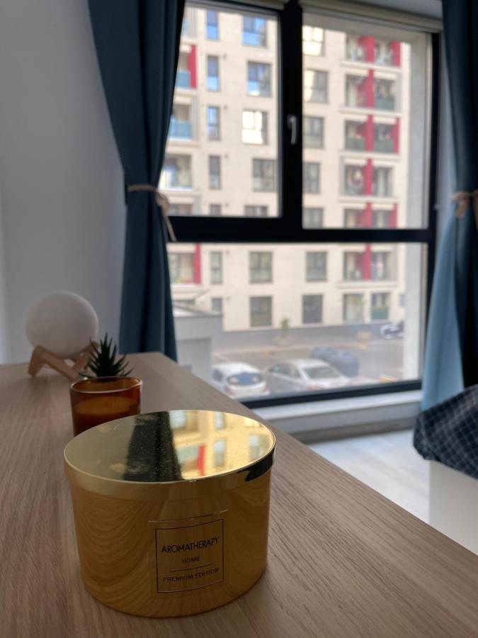 Plaza Luxury Apartment Near Presidential Palace Βουκουρέστι Εξωτερικό φωτογραφία